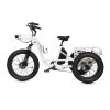 Ecotric 48V Tricycle electric bike with Front Basket