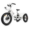 Ecotric 48V Tricycle electric bike with Front Basket