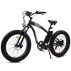 Ecotric Hammer Electric Fat Tire Beach Snow Bike