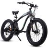 Ecotric Hammer Electric Fat Tire Beach Snow Bike