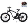 Ecotric Hammer Electric Fat Tire Beach Snow Bike