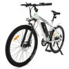 Ecotric Vortex Electric City Bike