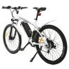 Ecotric Vortex Electric City Bike