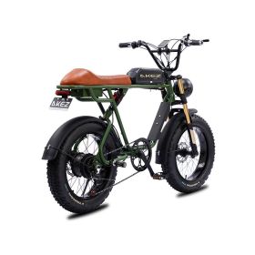 AKEZ S1 750W 48V 20 Inch Flat Tire Electirc Bicycle (Color: Green)