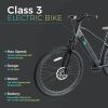 Trustmade Ebike